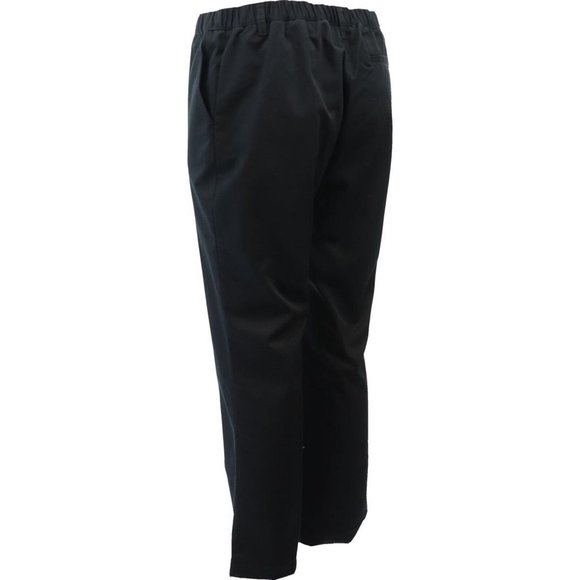 NWT LANDS' END UNIFORM GIRL'S IRON KNEE ELASTIC WAIST BLENDED CHINO PANTS 8 PLUS - Picture 4 of 8